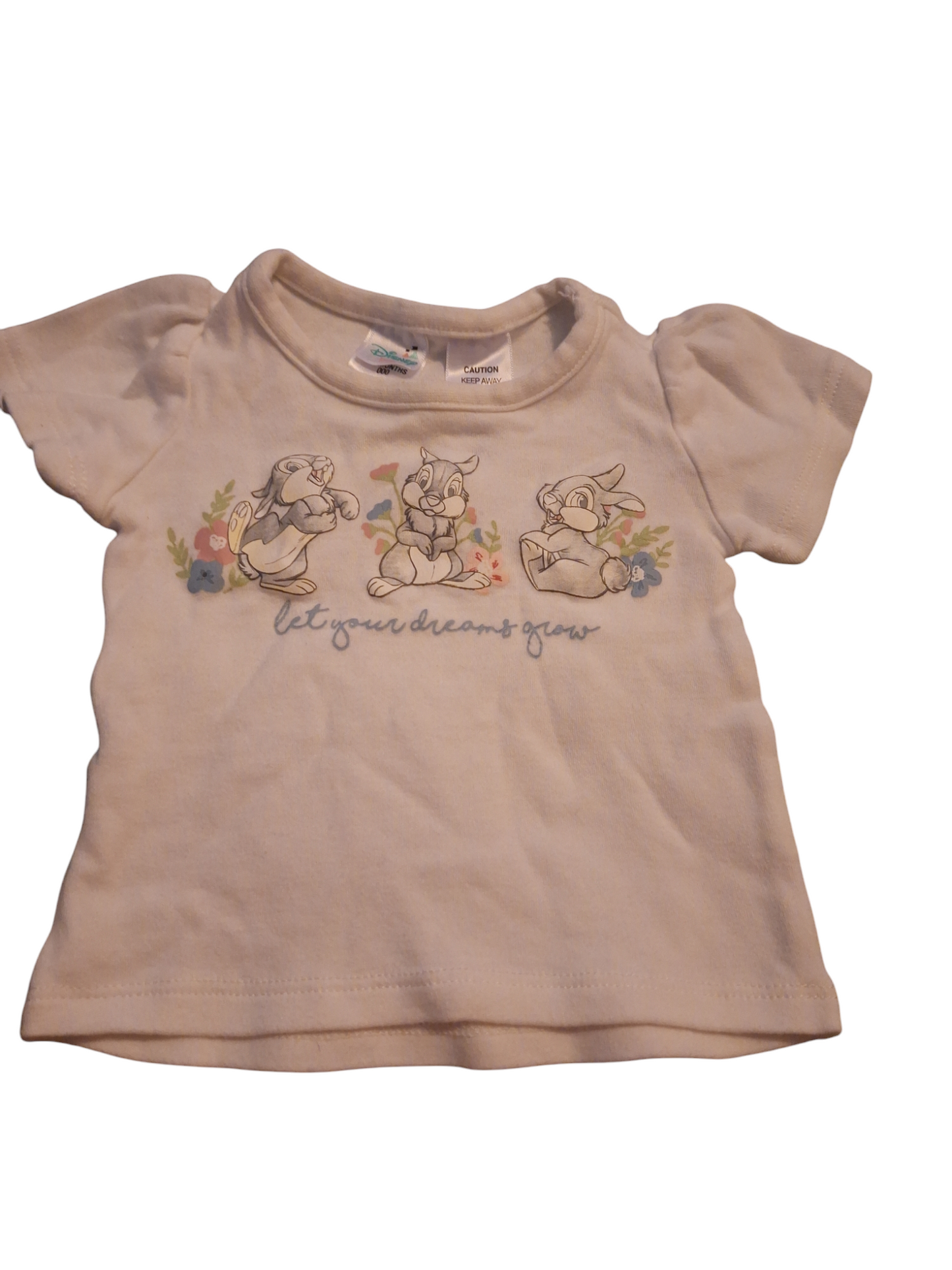 Disney, Let Your Dreams Grow Tee